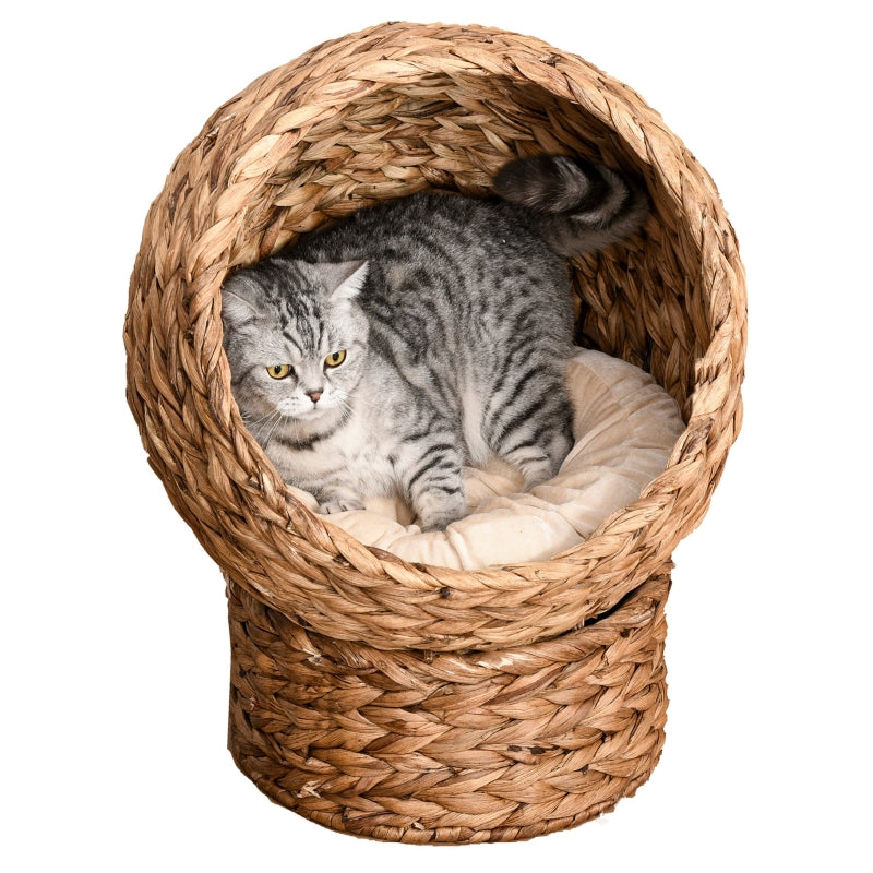 Brown Wicker Cat Bed with Raised Rattan Basket & Washable Cushion - 50 x 42 x 60 cm