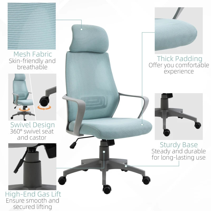 Blue Ergonomic Mesh Office Chair with Lumbar Support & Headrest