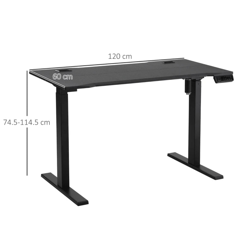 Black Electric Standing Desk, 120x60cm Memory Preset Workstation