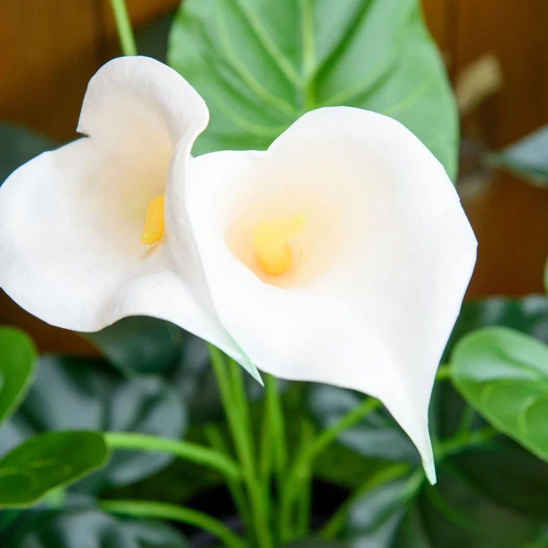 Set of 2 Realistic Calla Lily Flowers in White, Faux Decorative Plants, 55cm