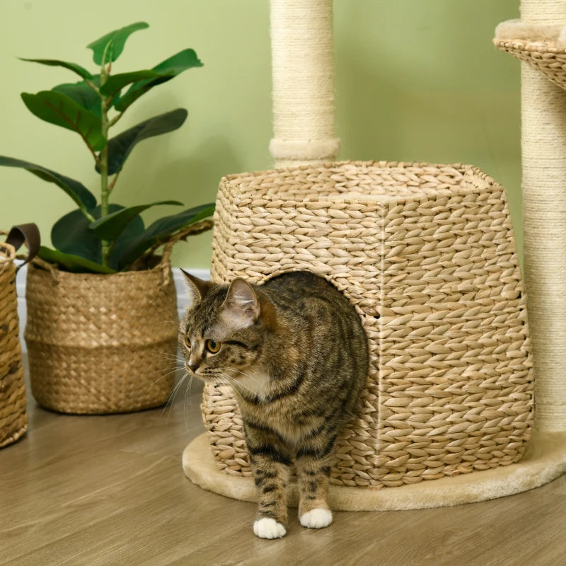 Cat Tree Activity Centre with Cattail, Bed, House, Sisal Post, Ball - Natural