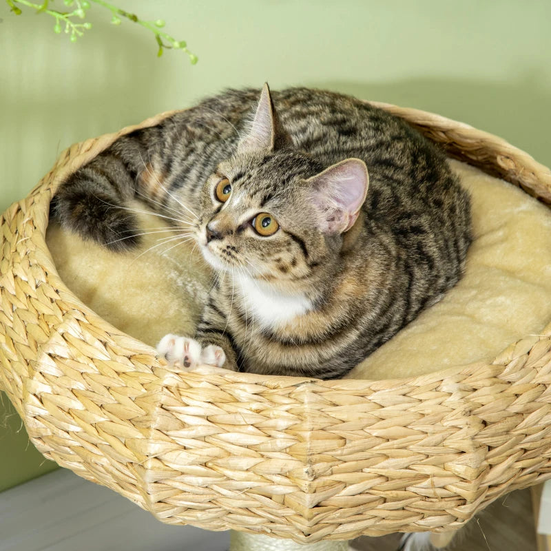 51cm Cat Tree Tower with Sisal Scratching Post & Top Bed - Grey