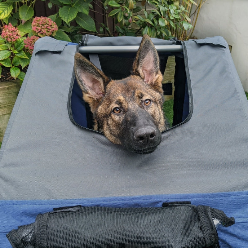 Blue & Grey Folding Dog Bike Trailer for Bicycle Travel