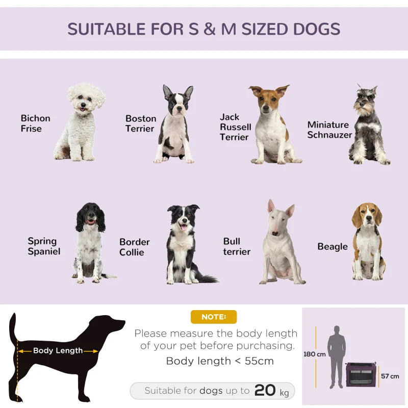 Purple Pet Carrier with Cushion for Small & Medium Dogs - 80cm