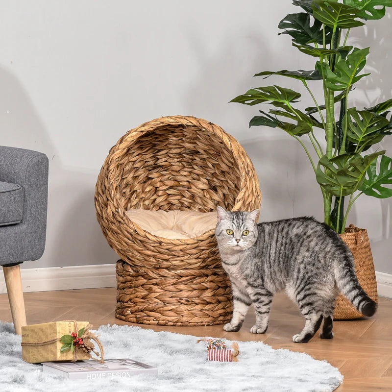 Brown Wicker Cat Bed with Raised Rattan Basket & Washable Cushion - 50 x 42 x 60 cm