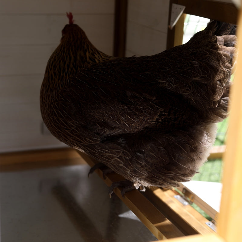 Wooden Chicken Coop with Outdoor Run, Nesting Box, Window, Lockable Door - 197 x 93 x 110cm (Brown)