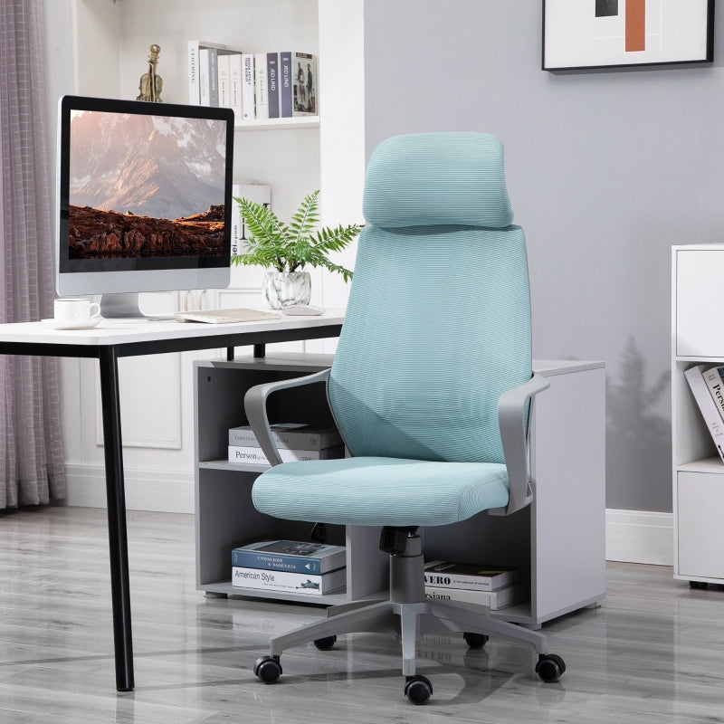 Blue Ergonomic Mesh Office Chair with Lumbar Support & Headrest