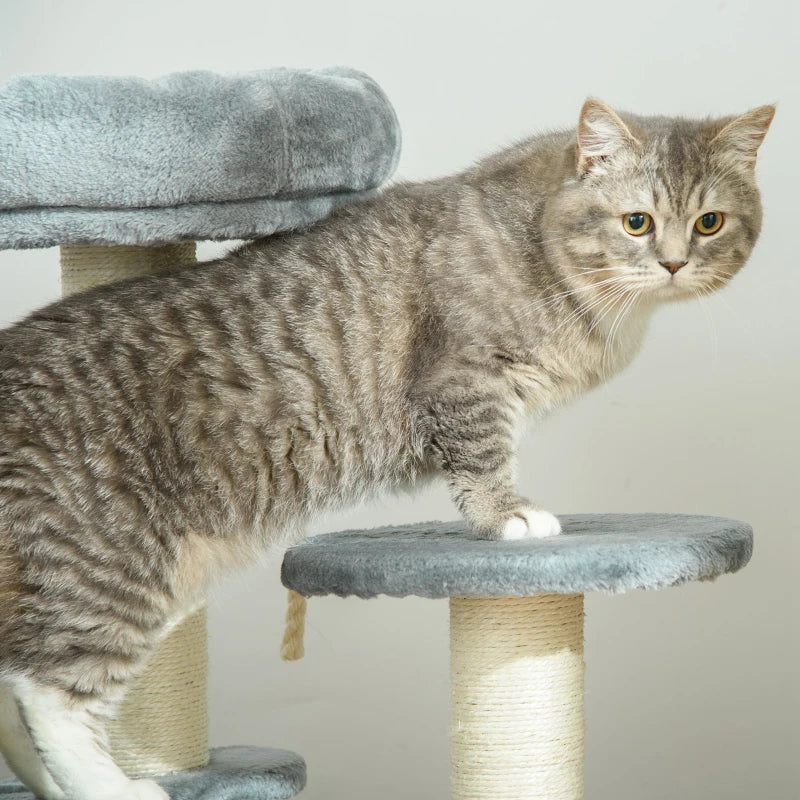 Grey 65cm Cat Tree with Sisal Scratching Posts and Perches