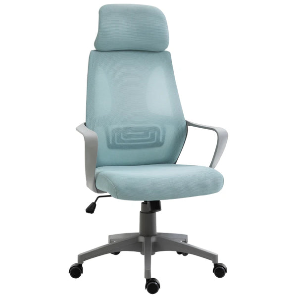 Blue Ergonomic Mesh Office Chair with Lumbar Support & Headrest