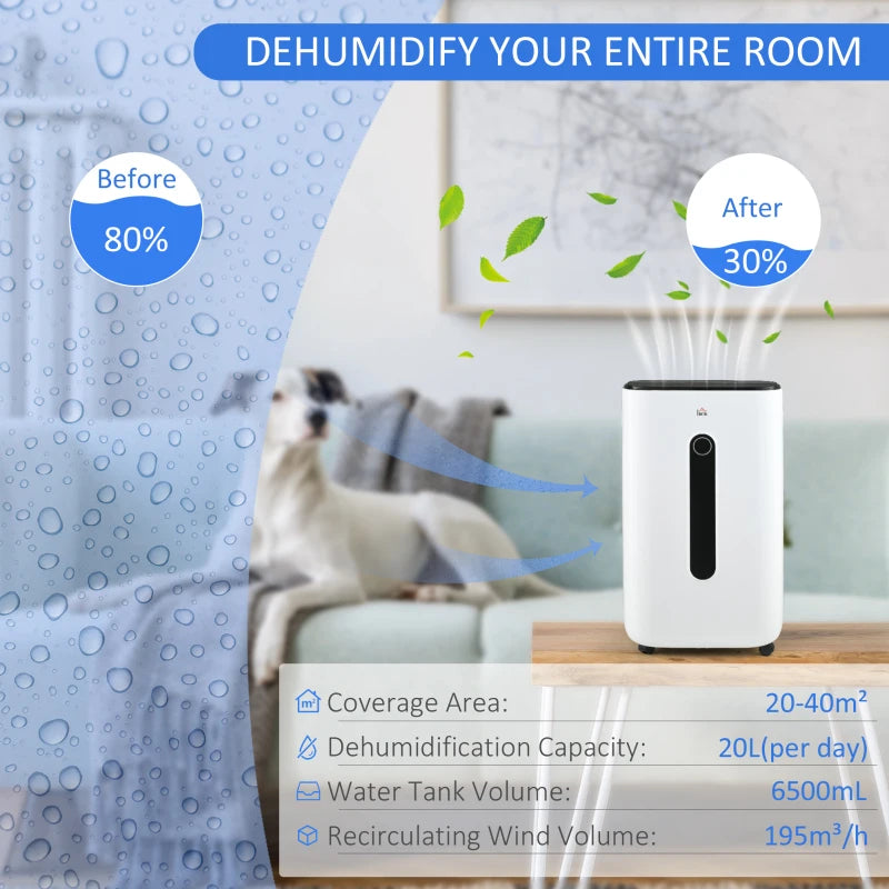 Portable Dehumidifier with Air Purifier Filter, 22L/Day, White