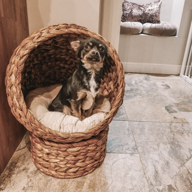 Brown Wicker Cat Bed with Raised Rattan Basket & Washable Cushion