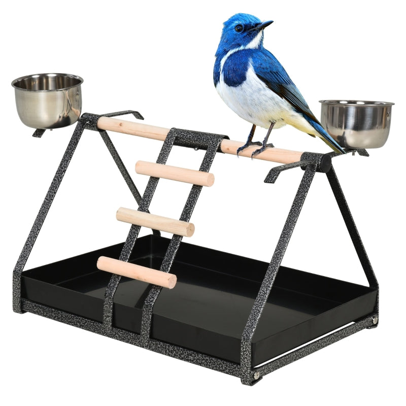 Stainless Steel Parrot Bird Feeder with Wood Perch - Portable & Removable Tray