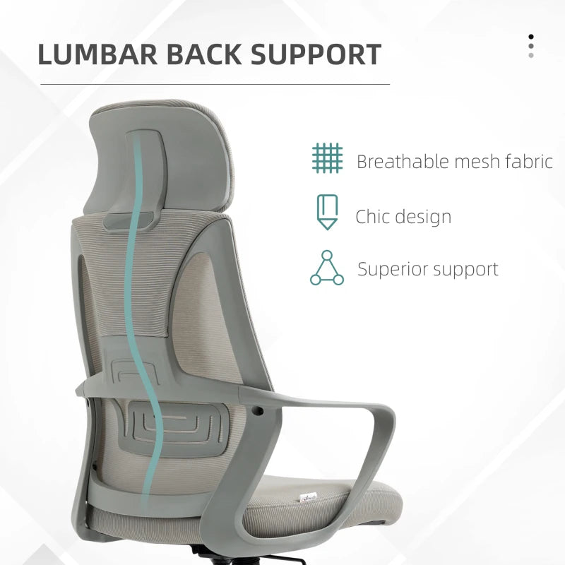 Grey Ergonomic Mesh Office Chair with Lumbar Support & Headrest