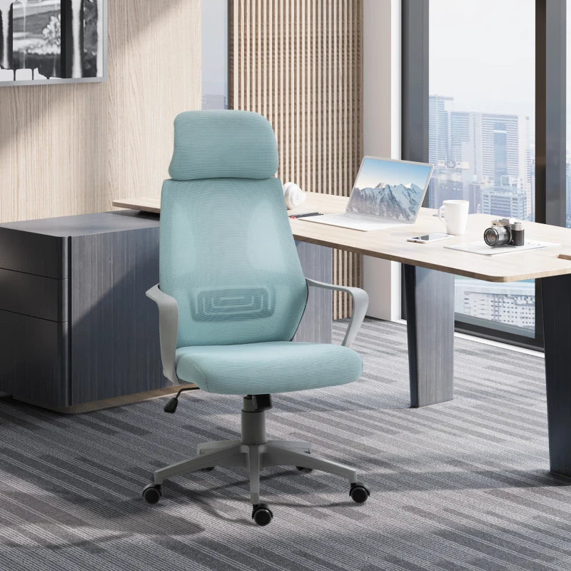 Blue Ergonomic Mesh Office Chair with Lumbar Support & Headrest