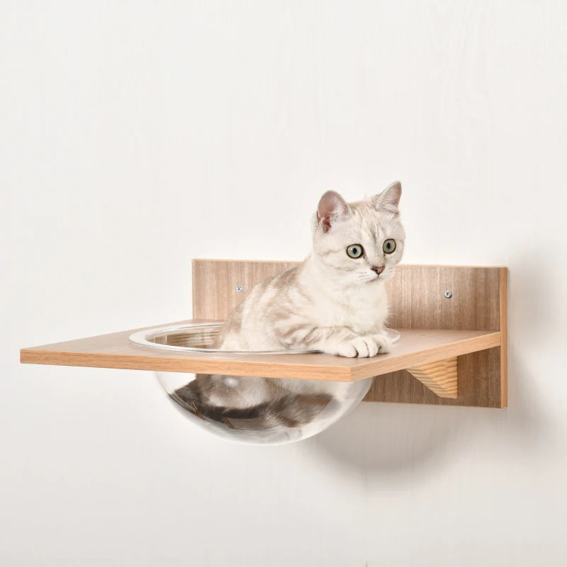 Brown Wall-Mounted Cat Climbing Shelf Set