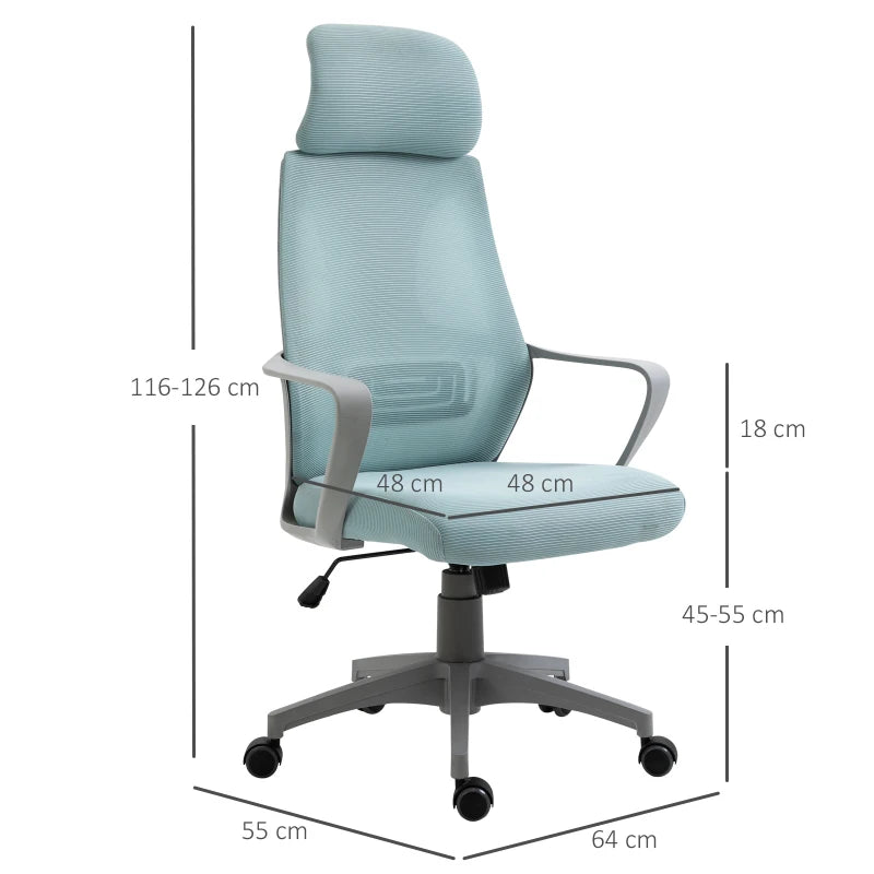 Blue Ergonomic Mesh Office Chair with Lumbar Support & Headrest