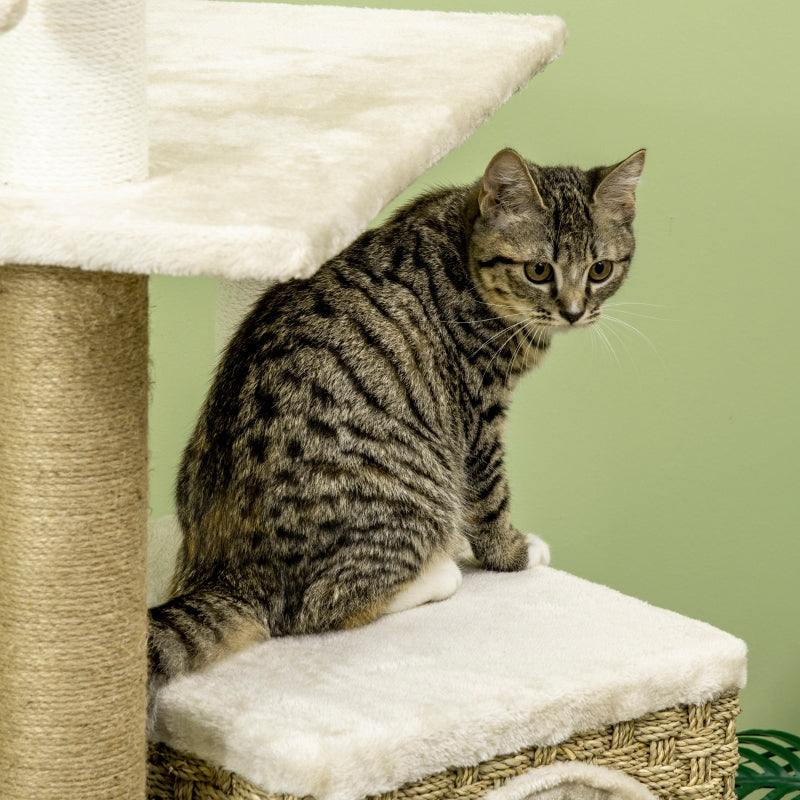 Beige Cat Tree with Scratching Post, House & Toy Ball