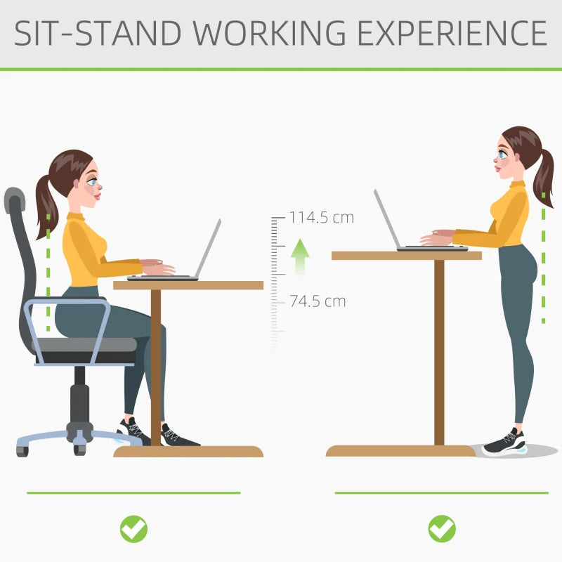 Black Electric Standing Desk, 120x60cm Memory Preset Workstation