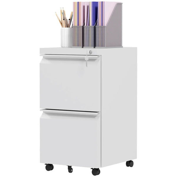 White Steel 2-Drawer Lockable Filing Cabinet for Letter, A4, Legal Size