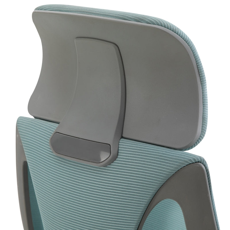 Blue Ergonomic Mesh Office Chair with Lumbar Support & Headrest