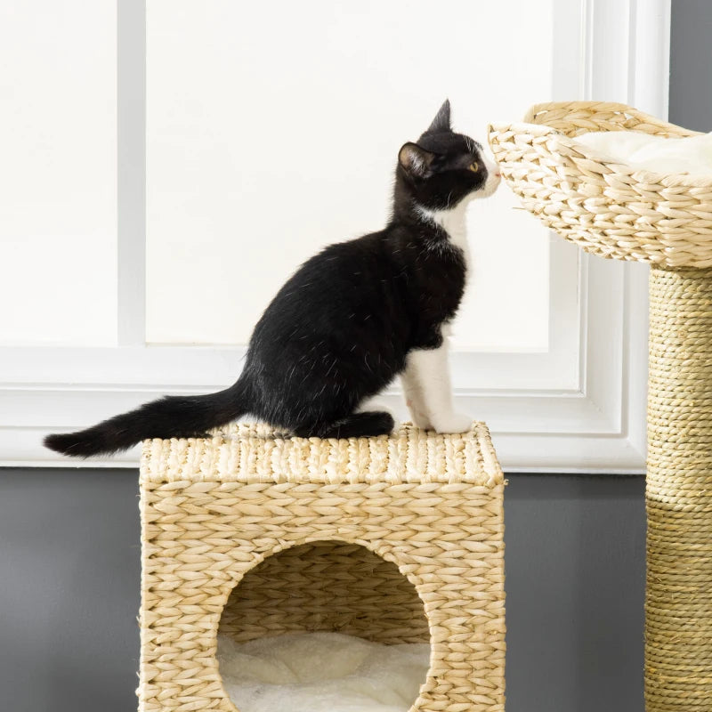 Cat Tree with Scratching Posts, Bed, Cat House - Natural