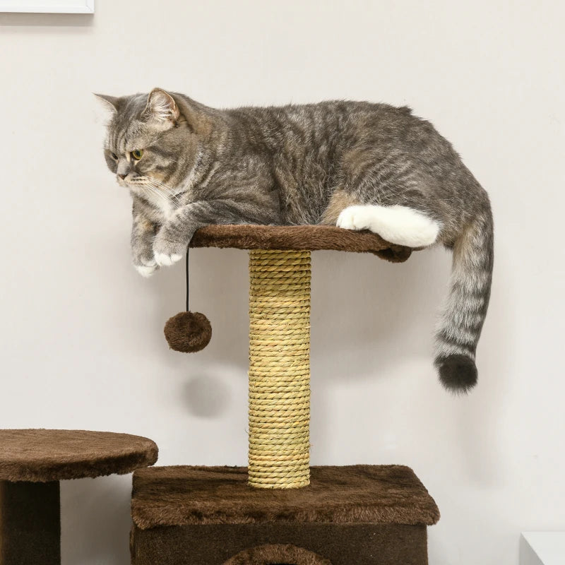 Modern Brown Cat Tree with Scratching Posts and Toy Ball