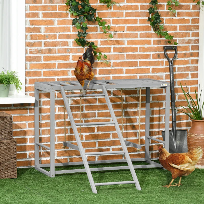 Grey Chicken Coop with Swing Set for 3-4 Chickens