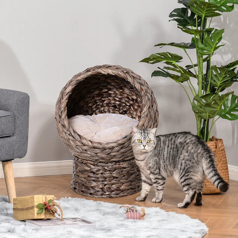 Brown Wicker Cat Bed with Raised Rattan Basket & Washable Cushion