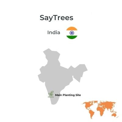 Plant A Tree in India - eco conscious